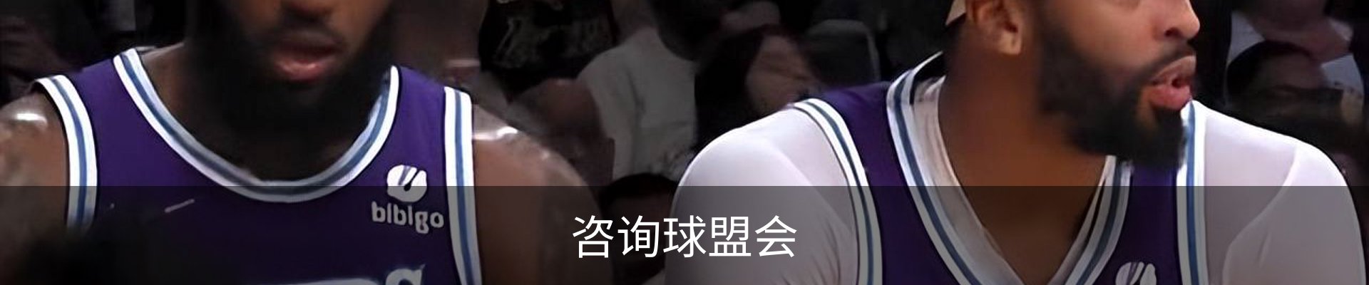 咨询球盟会